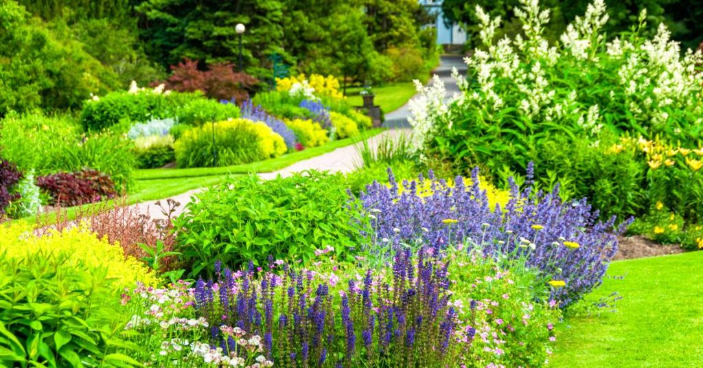 jak pielegnowac ogrod glowne