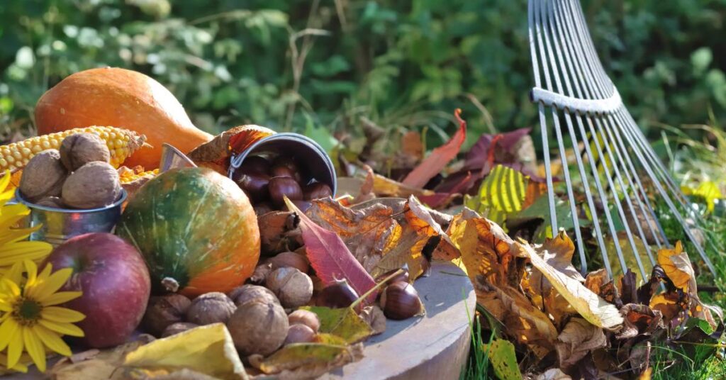 jesien w ogrodzie glowne 1