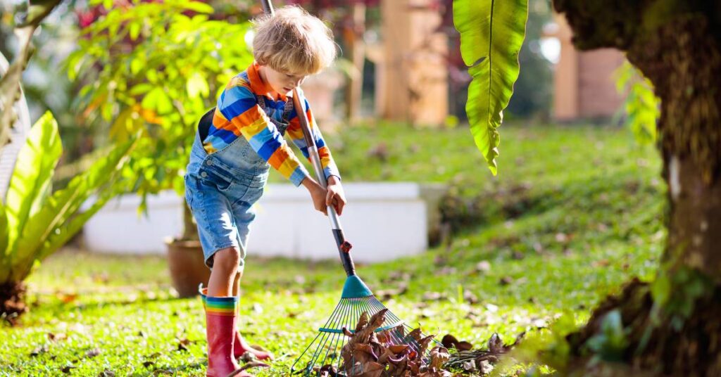jesień w ogrodzie grabione liscie