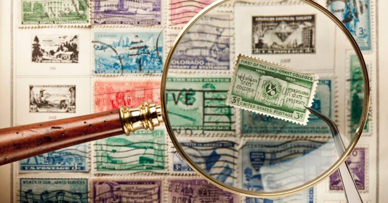 kolekcjonerstwo jako pasja glowne