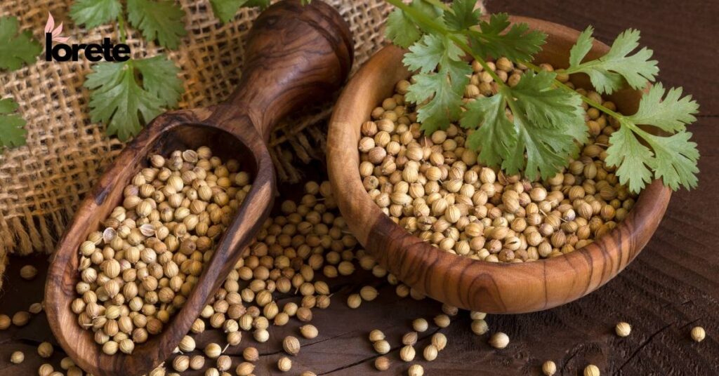 kuchnia meksykańska kolendra