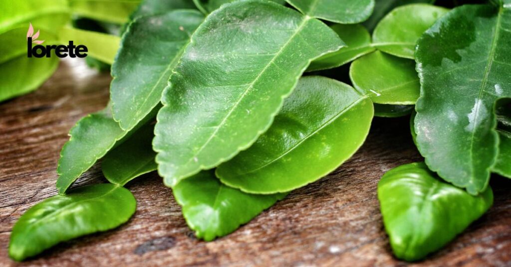 kuchnia tajska liście limonki kaffir