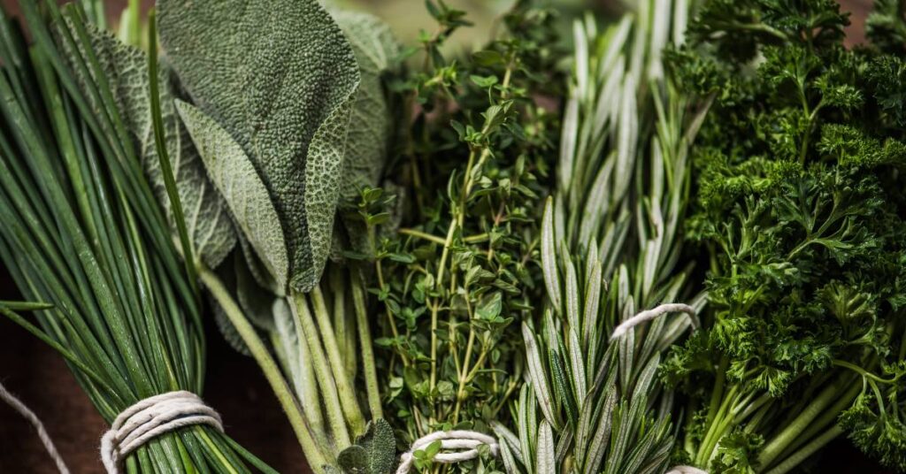 kuchnia turecka świeże zioła