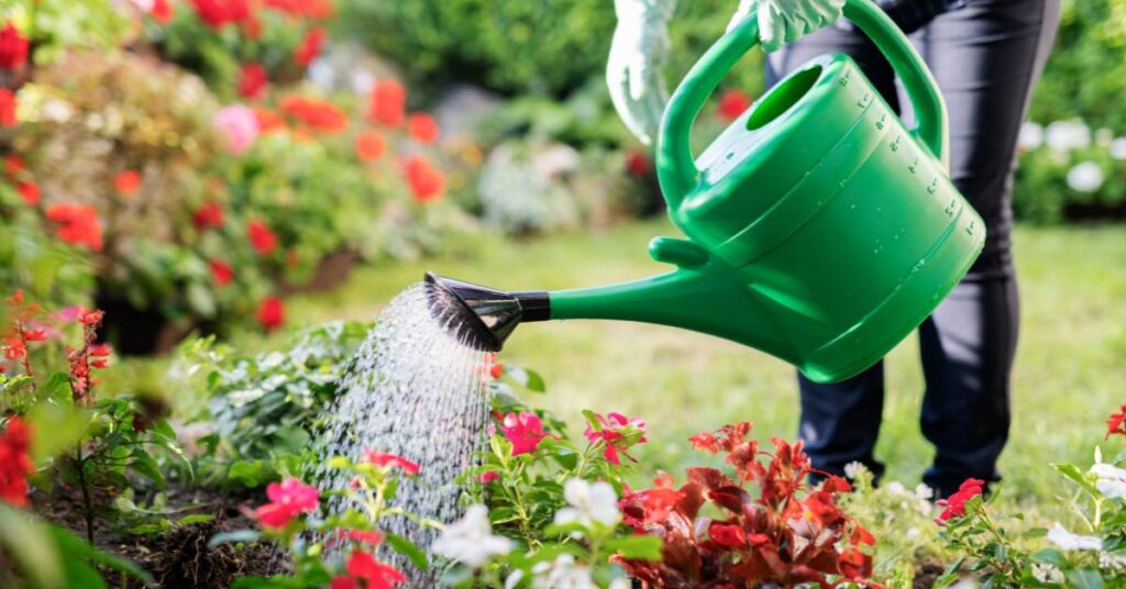 lato w ogrodzie podlewanie