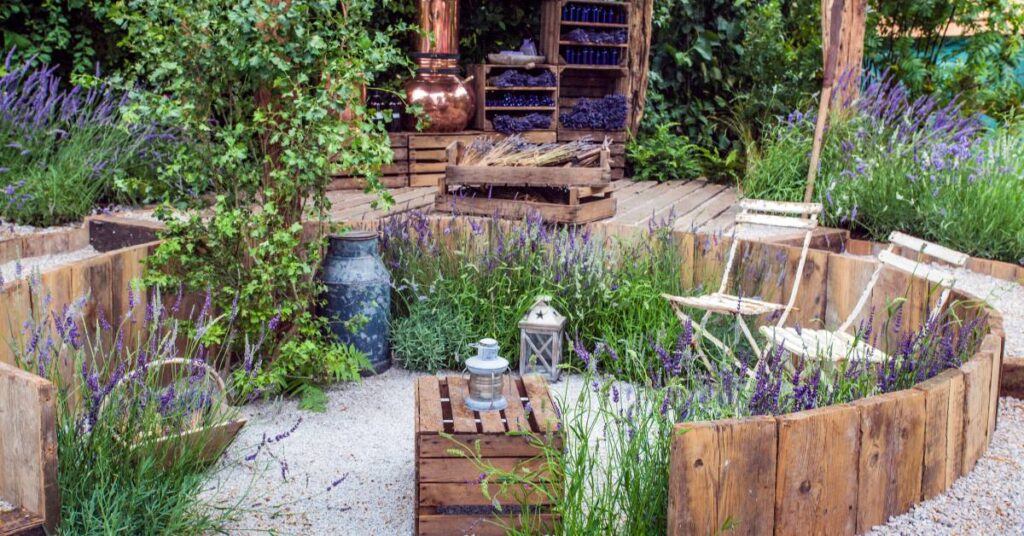 ogrody śródziemnomorski lawenda