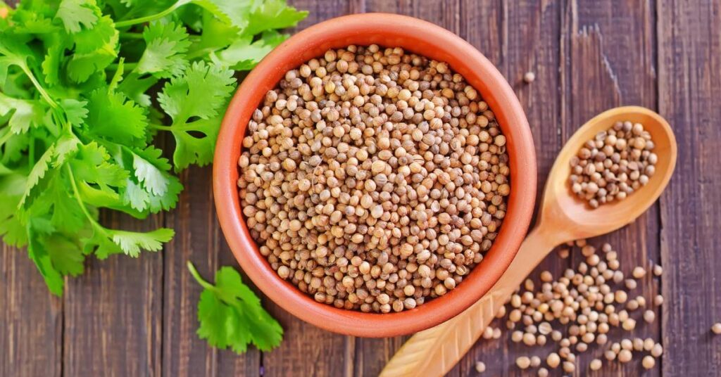 pizza przyprawy kolendra