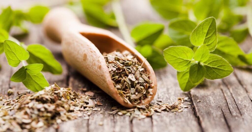 pizza przyprawy oregano