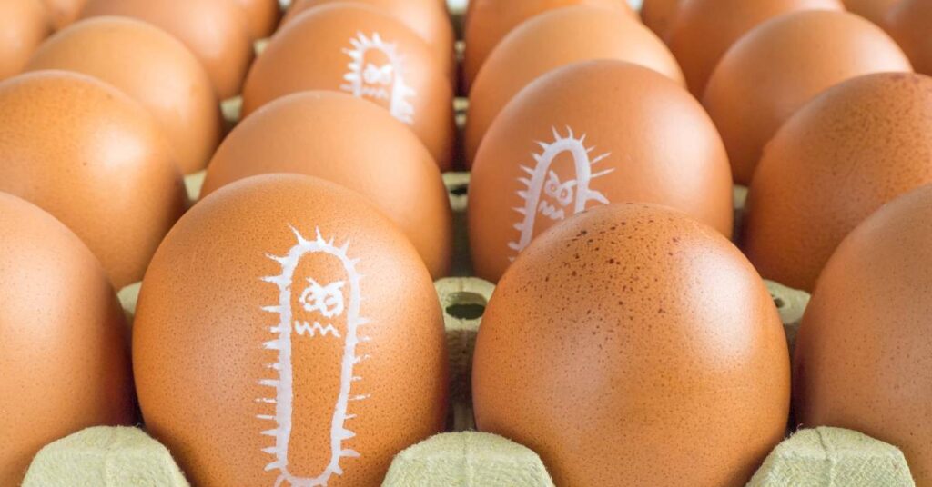 salmonella gdzie wystepuje i jak sie jej pozbyc