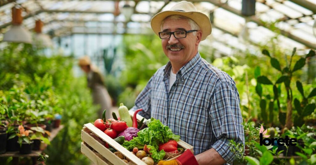 sezonowe warzywa i owoce lokalni producenci