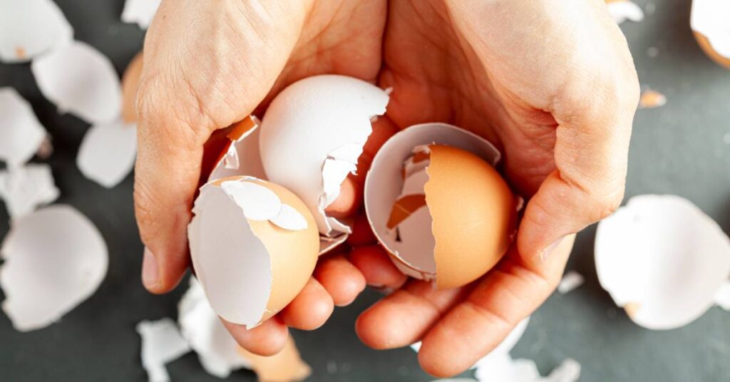 skorupki po jajkach zastosowanie w ogrodzie glowne