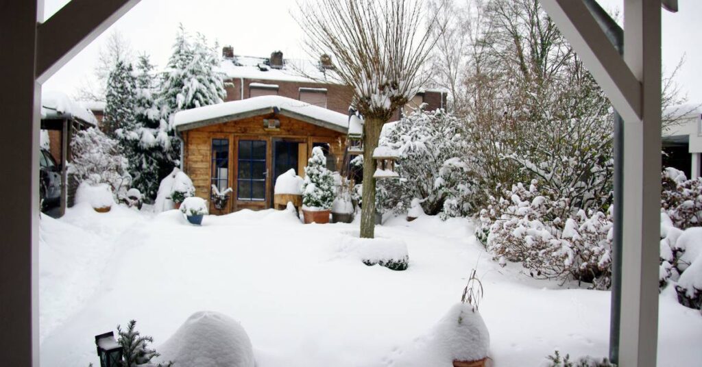 zima w ogrodzie glowne