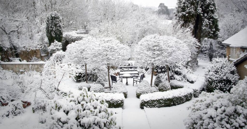 zima w ogrodzie pejzaż zimowy