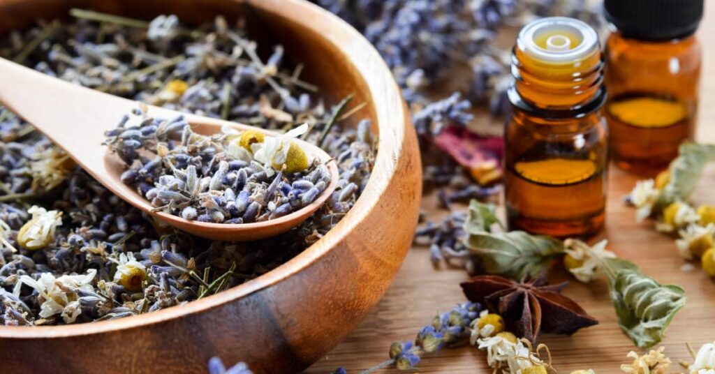 które artykuły spożywcze chronić przed światłem zioła suszone