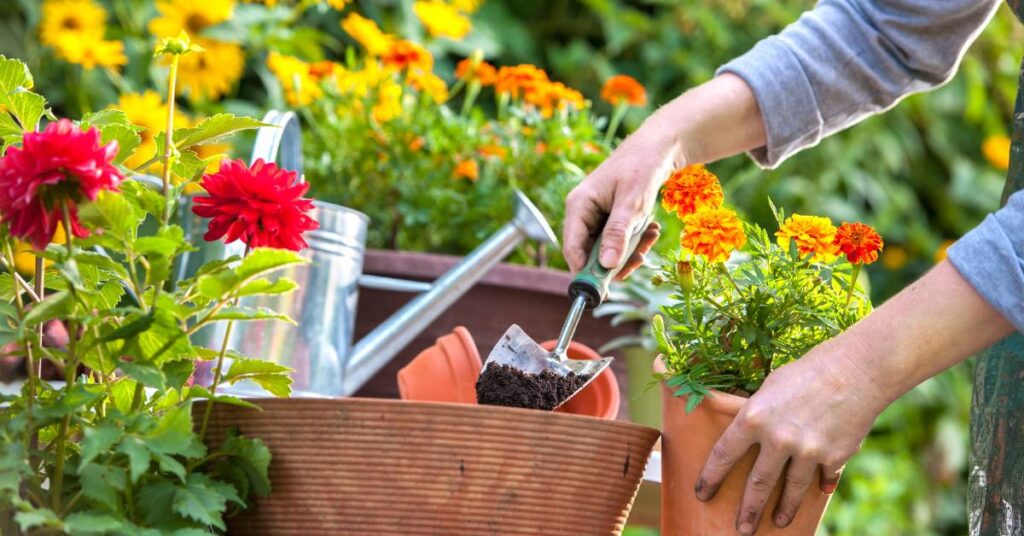ogrodnictwo jako pasja aktywność w ogrodzie