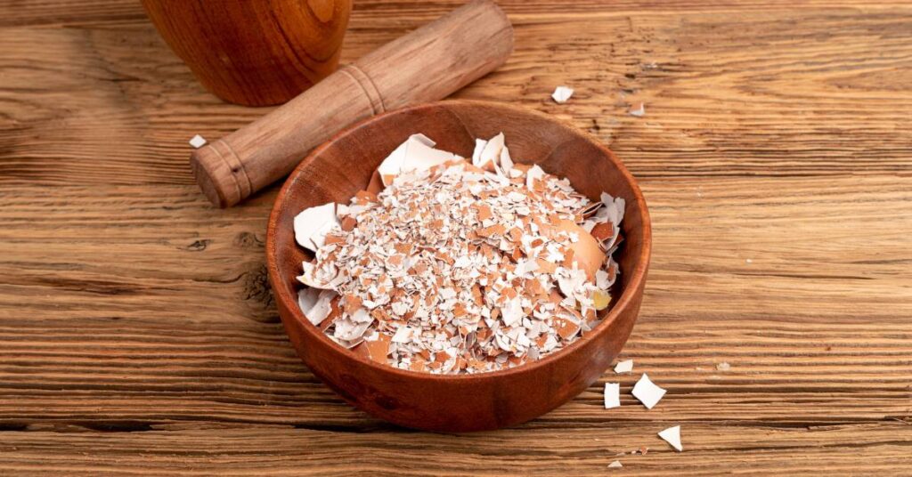 skorupki po jajkach zastosowanie w ogrodzie ubite w misce